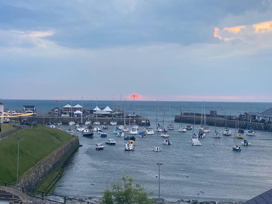 Villa Aberaeron Island House - Panoramic Harbour Views Esterno foto